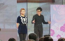 石头 娱乐大典,璀璨星光下的狂欢盛宴